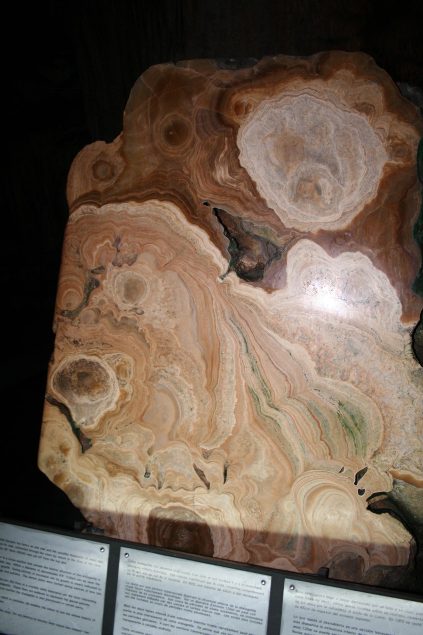 Cross section of a fallen stalagmite. (stalactite? I always forget.)