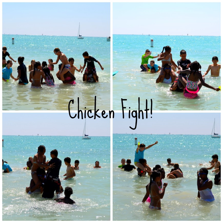 chicken fight